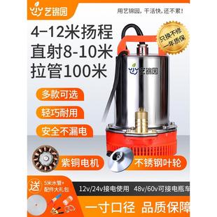 60伏低压小型家用1寸电瓶水泵农用浇菜抽水泵 直流潜水泵12V48v