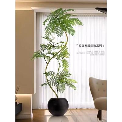 仿真绿植蓝花楹室内盆栽大