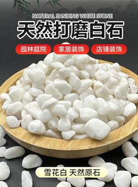 50斤装白色石子石头大鹅卵石庭院铺路铺地小白石头造景景观白石子