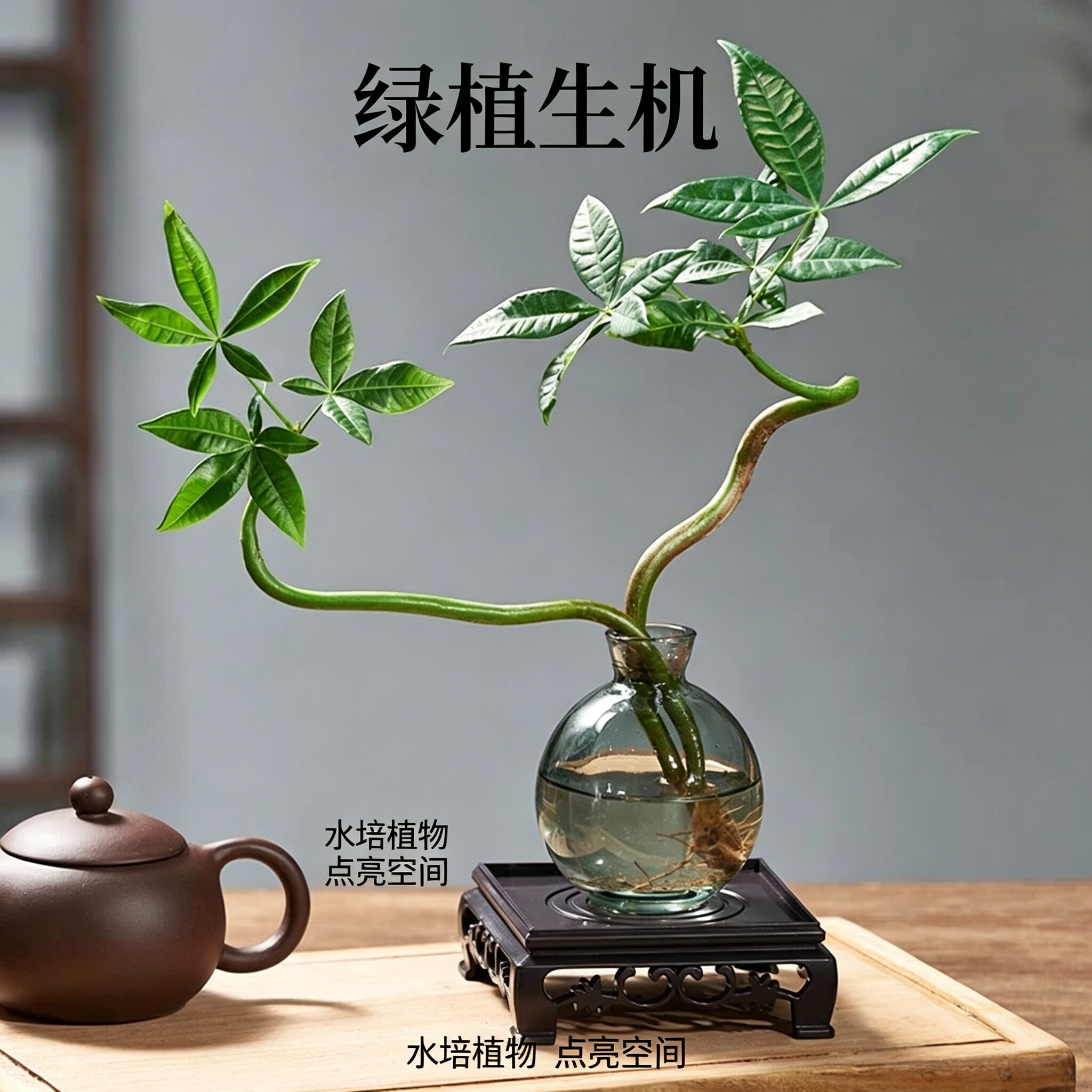水培发财树盆栽易活植物室内客厅绿植小盆景四季常青办公室内盆栽 - 实物图