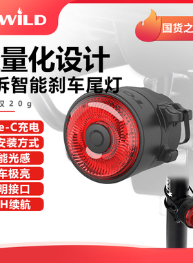 TOWILD拓野TL03新款自行车尾灯山地公路越野夜骑警示智能刹车尾灯