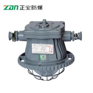 【浙江正安】DGS24/127L(B)矿用隔爆型LED巷道灯 防爆灯具