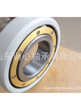 绝缘轴承6321M/C3 厂家生产高伏电绝缘深沟球轴承6321M/C4VL0241