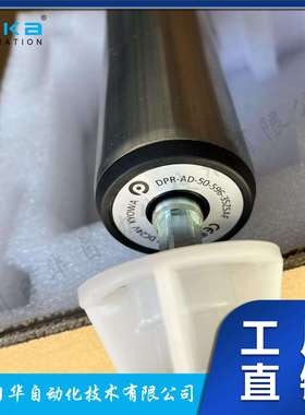 德马Damon电动电机滚筒输送带辊筒DPR-AD-50-451-45JSHF