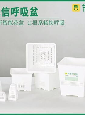 花信呼吸盆多肉热植方形酢浆草龙舌兰盆树脂花盆防烂根控根塑料盆