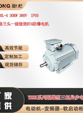 YBX5-200L-4 30KW 380V IP55 不锈钢格兰头一级能效BT4防爆电机