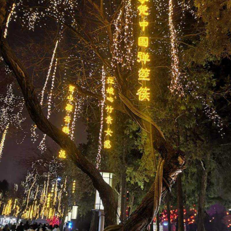 网红诗词灯串挂树灯户外防水景区亮化装饰古诗词灯串霓虹发光字,鲜花速递/花卉仿真/绿植园艺,割草机/草坪机,淘宝优惠券,粉丝福利购,淘宝优惠卷