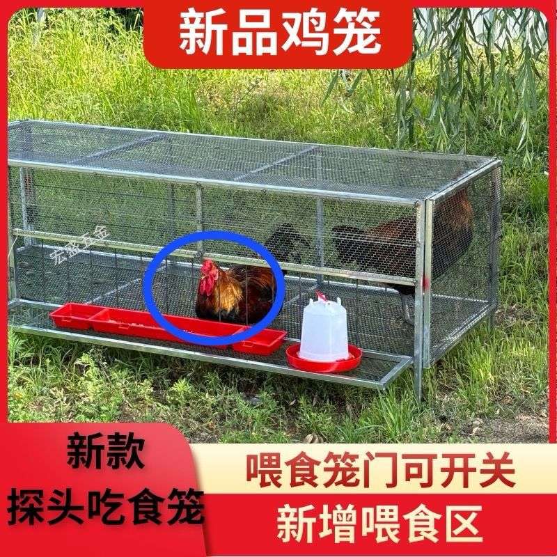 家用户外鸡笼折叠鸭笼兔笼大号加厚家用养殖设备笼厂家直销