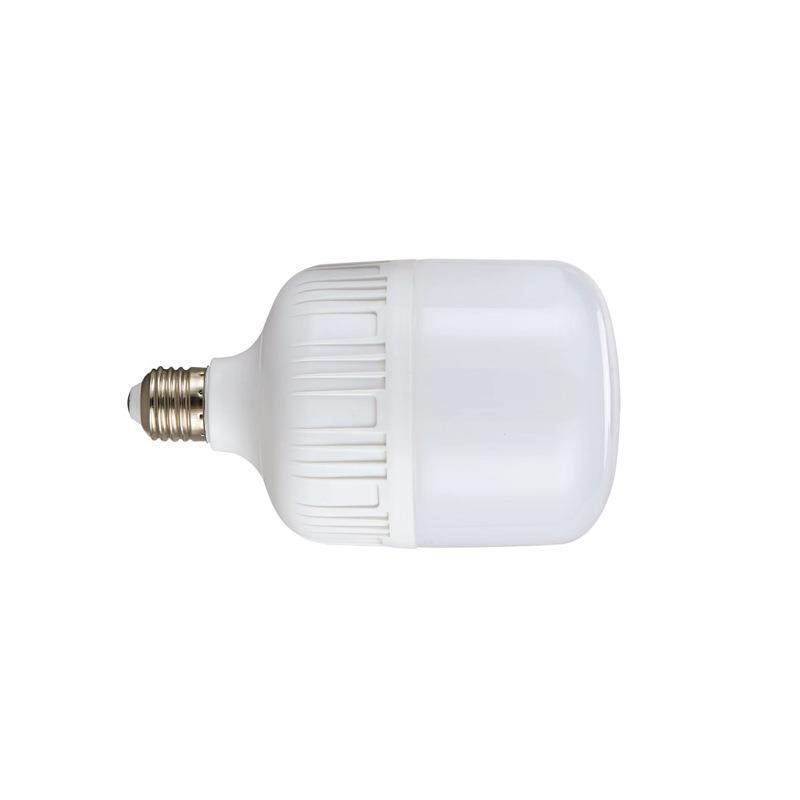 麦哲喆LED球泡MZZ-ZP10W 功率10W白光灯头标准E27（个）,鲜花速递/花卉仿真/绿植园艺,割草机/草坪机,淘宝优惠券,粉丝福利购,淘宝优惠卷