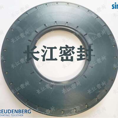 德国SIMRIT CFW BAU5SLX2 65-120-10 95-125 95-145-13骨架油封