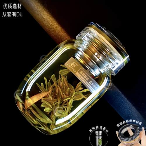 新款加厚耐热玻璃杯茶水分离小巧