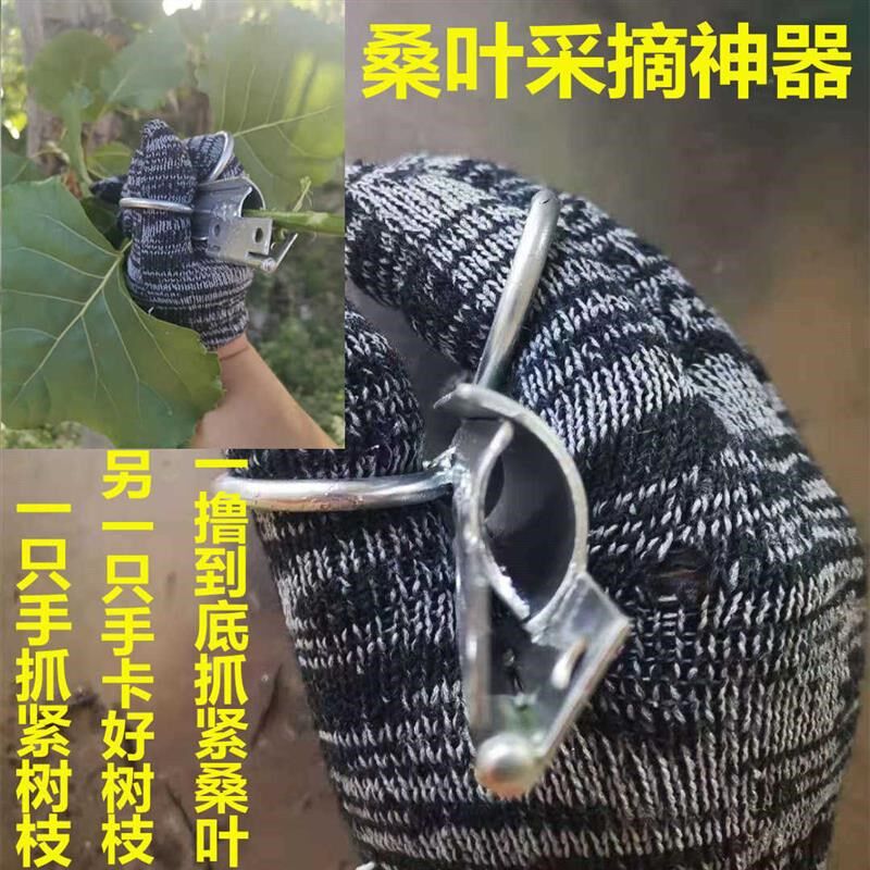速发采桑叶神器桑叶采摘器采桑叶工具神器采叶子采桑叶蚕叶快速采