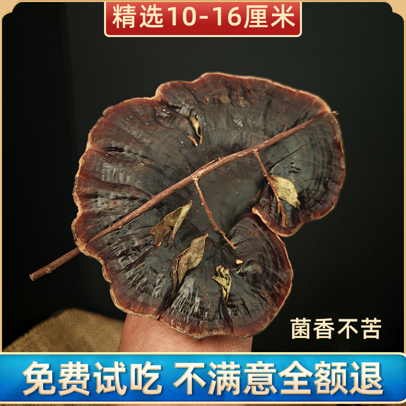 灵芝野生正品干货云南深山紫林芝官方旗舰店中药材整朵泡酒切片