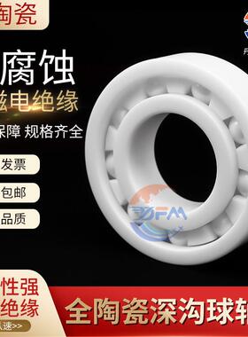 丹洋全陶瓷轴承 6308 6309 6310 6311 6312 6314CE ZZ静音