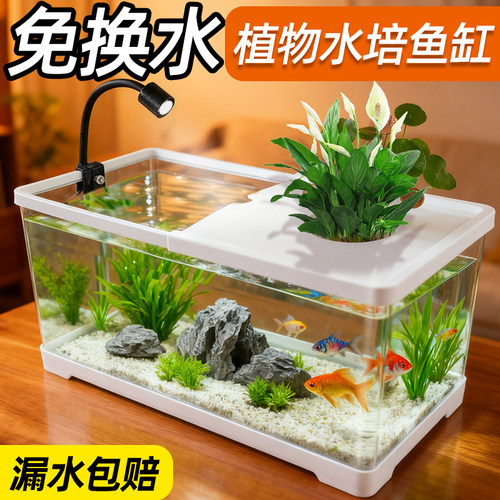 鱼缸客厅2025新款小鱼缸小型龟缸生态亚克力水族箱免打理家用桌面