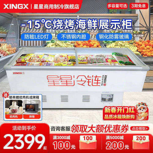 星星冷冻冷藏大容量商用冰柜
