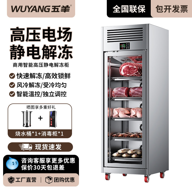 五羊智能解冻柜商用高压静电低温抑菌化冻机冷藏缓化猪羊牛排酸柜