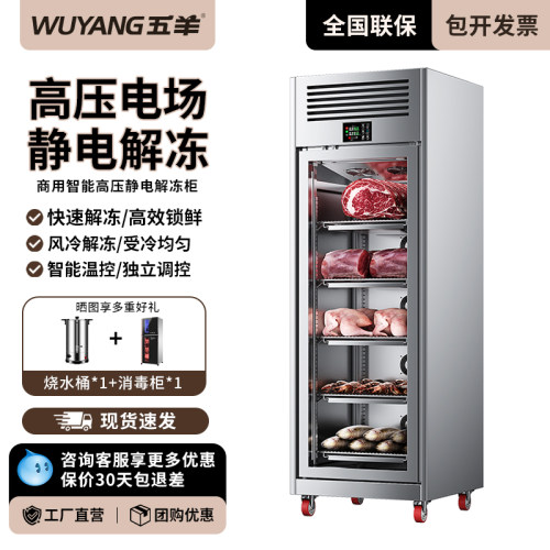 五羊智能解冻柜商用高压静电低温抑菌化冻机冷藏缓化猪羊牛排酸柜