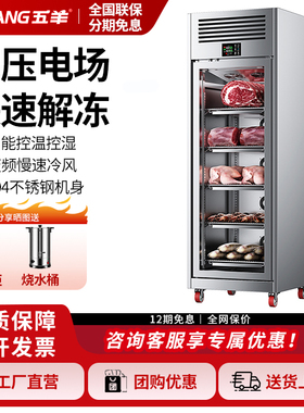 五羊智能解冻柜商用高压静电低温抑菌化冻机冷藏缓化猪羊牛排酸柜