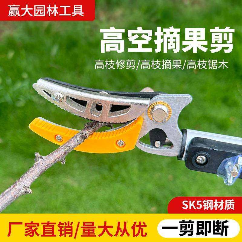 赢大摘果器摘果剪伸缩杆修枝剪高枝剪荔枝龙眼枇杷高枝锯果树,农机/农具/农膜,播种栽苗器/地膜机,淘宝优惠券,粉丝福利购,淘宝优惠卷