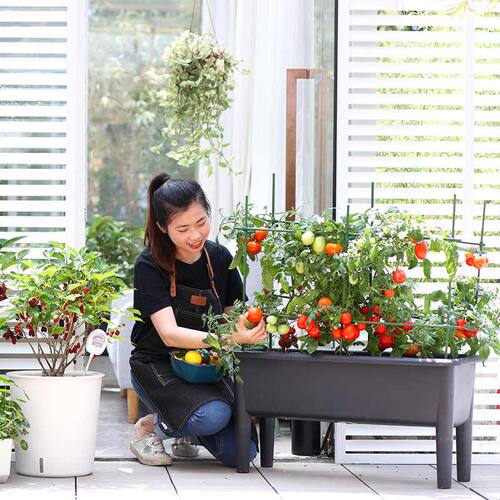 户外庭院种菜盆花箱草莓种植箱种菜专用箱长方形楼顶阳台塑料花槽