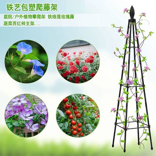 包塑铁艺月季花架三角梅爬藤架园艺山乌龟铁线莲植物支架攀爬架子