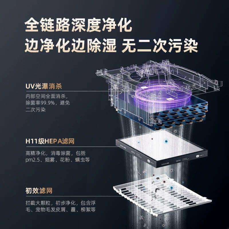 伊岛除湿机家用客厅卧室空气净化抽湿机抽湿器轻音多功能M30 Pro