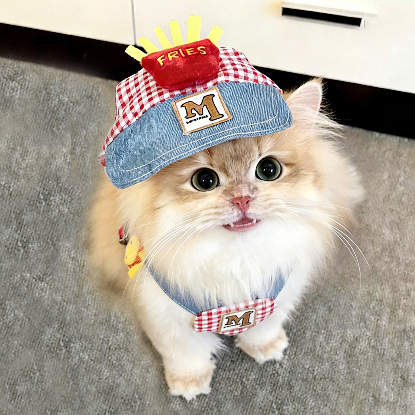 猫咪专用胸背牵引绳春夏季狗狗变装帽子套装防挣脱不勒脖外出胸背,宠物/宠物食品及用品,猫牵引绳,淘宝优惠券,粉丝福利购,淘宝优惠卷