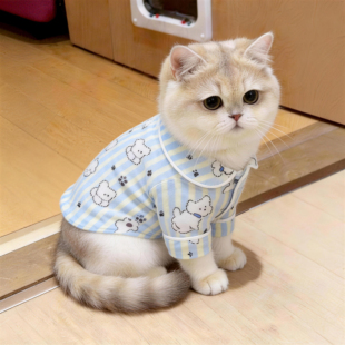 猫咪衣服居家睡衣春秋新款宠物打底短袖可爱衬衫金渐层布偶空调服