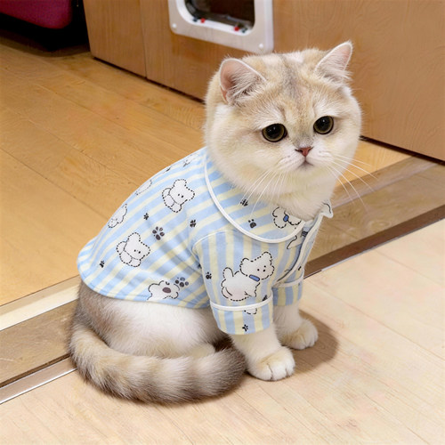 猫咪衣服可爱春秋季居家短袖衬衫