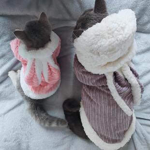 猫咪衣服秋冬季幼猫英短蓝猫小狗狗冬天保暖可爱搞笑兔子宠物服装
