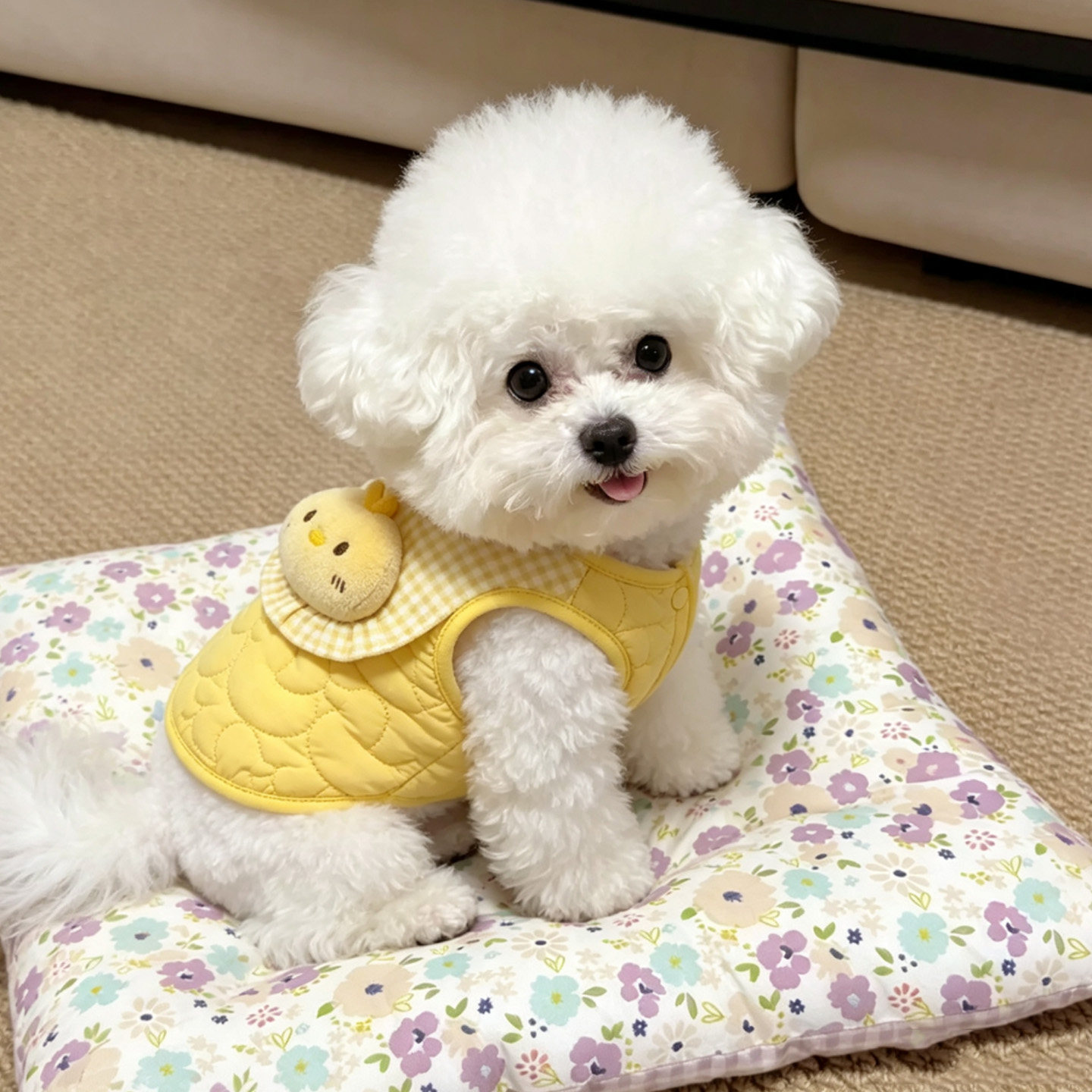 狗狗衣服秋冬款加绒加厚可爱小鸭马甲中小型犬防掉毛猫咪保暖背心