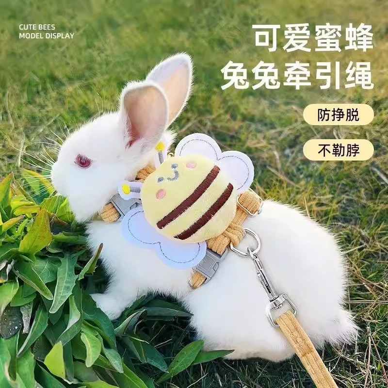 兔子牵引绳遛兔专用防挣脱