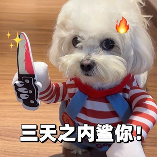 狗狗拿刀衣服搞笑搞怪衣服小狗猎杀道具服杀手变身装泰迪博美柯基