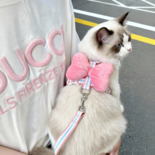 猫咪牵引绳可爱蝴蝶结胸背可调节防挣脱外出专用猫狗通用工字胸背