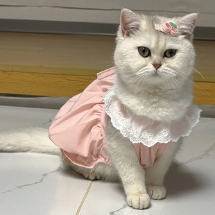 ins公主裙 猫咪衣服可爱连衣裙防掉毛春秋英短布偶小狗狗夏天薄款