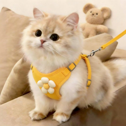 猫胸背牵引绳防挣脱不勒脖溜猫绳