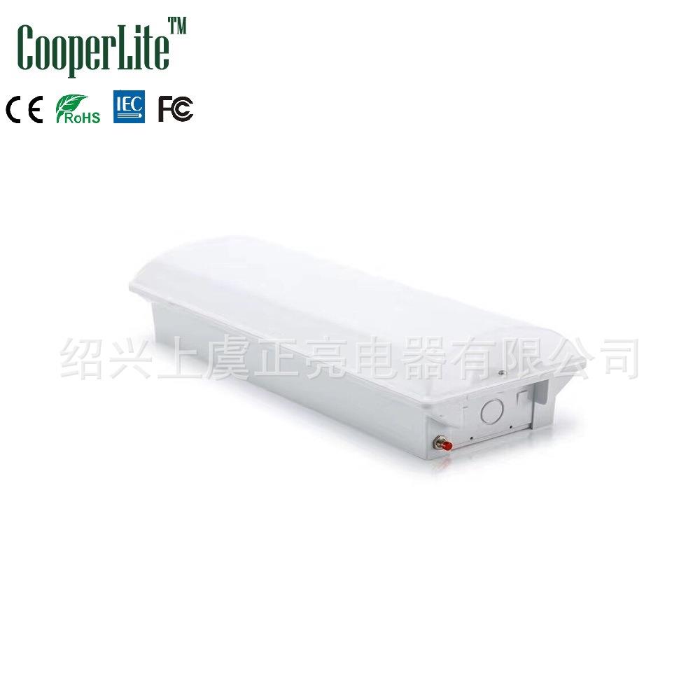 正亮工厂 1*8W 2*8W灯管式/贴片式LED长方形嵌入式安装应急灯外壳