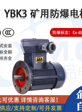 新大力YB3矿用防爆电机B5立式380/660/1140V铸铁钢板机座ExDIMb