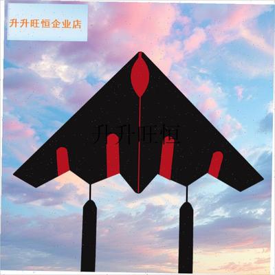 ,新款飞机伞布碳杆轻体风筝大人专用高档微风易飞专W业云霸二代儿