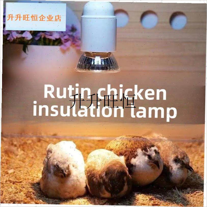 龟爬宠晒背灯保温灯太阳灯宠物补钙uvaJ取暖uvb龟缸专用加热灯泡,,宠物/宠物食品及用品,爬宠灯具,淘宝优惠券,粉丝福利购,淘宝优惠卷