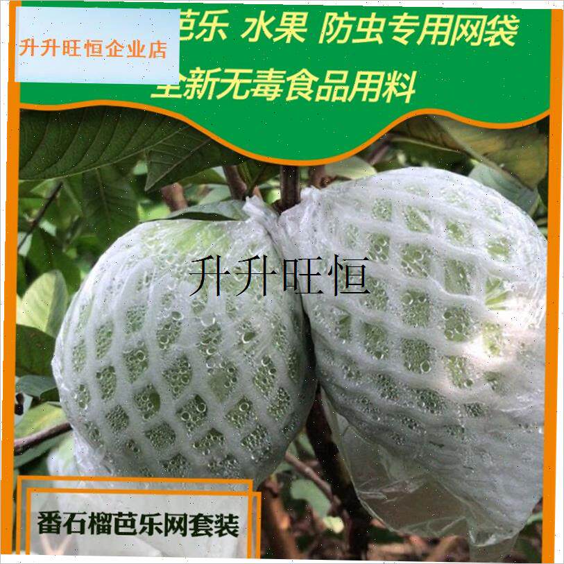 石榴套袋网袋芭乐防虫网袋专x用一体泡沫包装袋石榴袋水果网套,