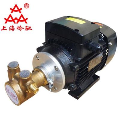 NUERT纳特PR4AS-250W380V黄铜高压旋转叶片泵高压燃油泵