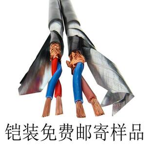 铠装软电缆RS485双绞屏蔽线RVSP22 2芯1.5 1 2.5平方ASTPΩ通讯线