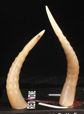 天然角饰品全牦牛角尖家居客厅办公室办公桌财富装饰创意工艺品礼