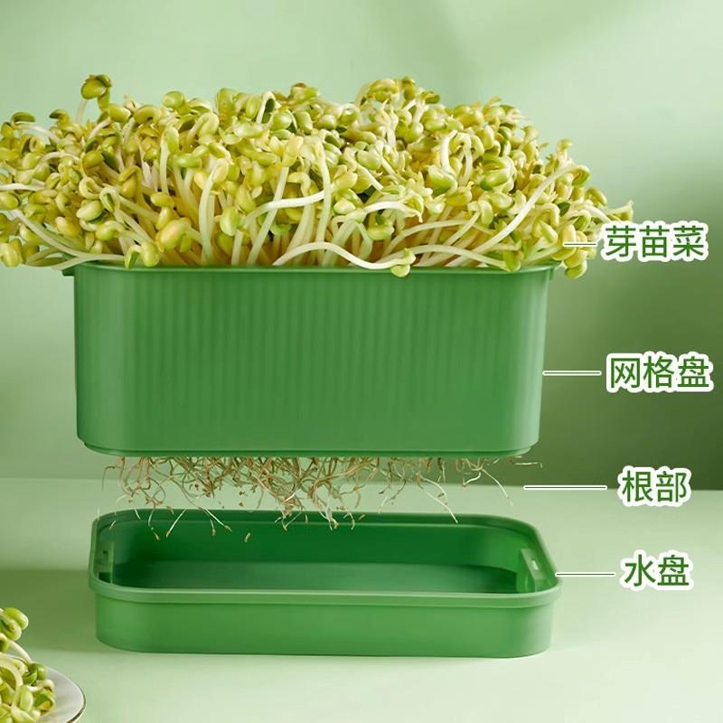 育苗盘种植发芽盆大容量
