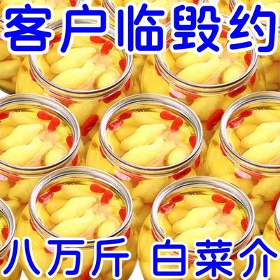 【9.2发3袋】山东特产嫩姜芽枸杞酱倒缸酸甜脆姜牙咸菜糖醋泡菜泡