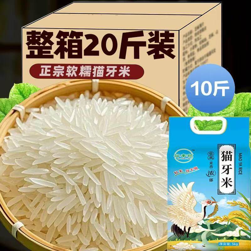正宗猫牙米晚稻丝苗米2024年新米超长粒香米大米20斤煲仔饭蛋炒饭