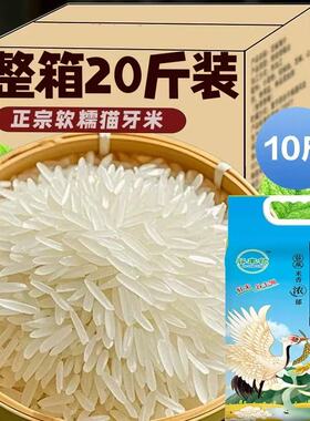 正宗猫牙米晚稻丝苗米2024年新米超长粒香米大米20斤煲仔饭蛋炒饭