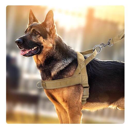 狗狗胸背带中大型犬狗脖圈背心式牵引绳马犬金毛德牧边牧宠物脖套